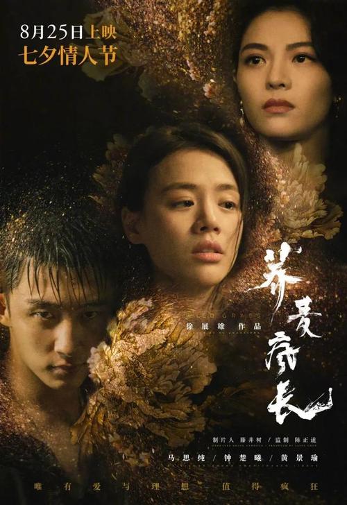 图卢兹天主教大学学士学位证